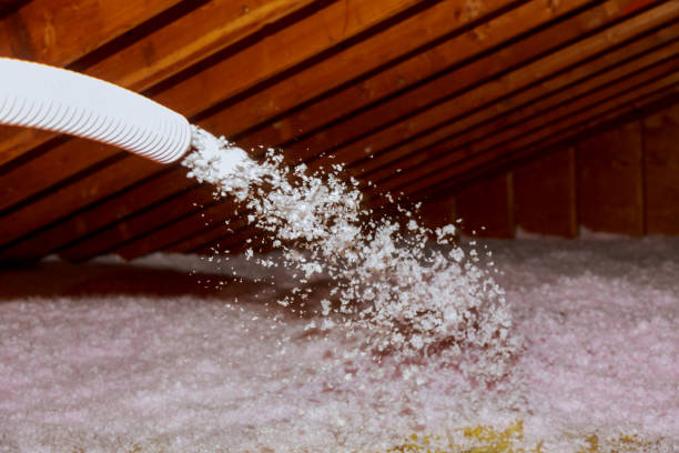 Best Garage Insulation Installation  in Oostburg, WI