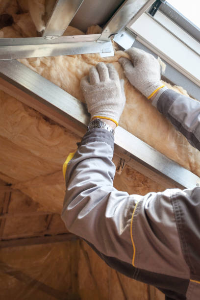 Best Insulation Removal Services  in Oostburg, WI