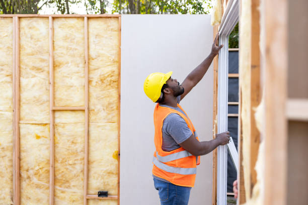 Best Insulation Removal  in Oostburg, WI