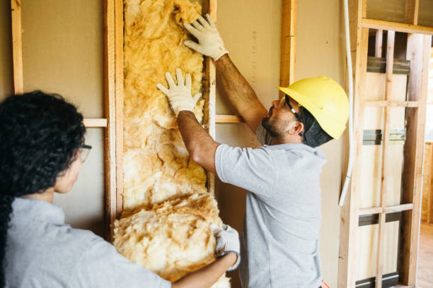 Best Attic Insulation Installation  in Oostburg, WI